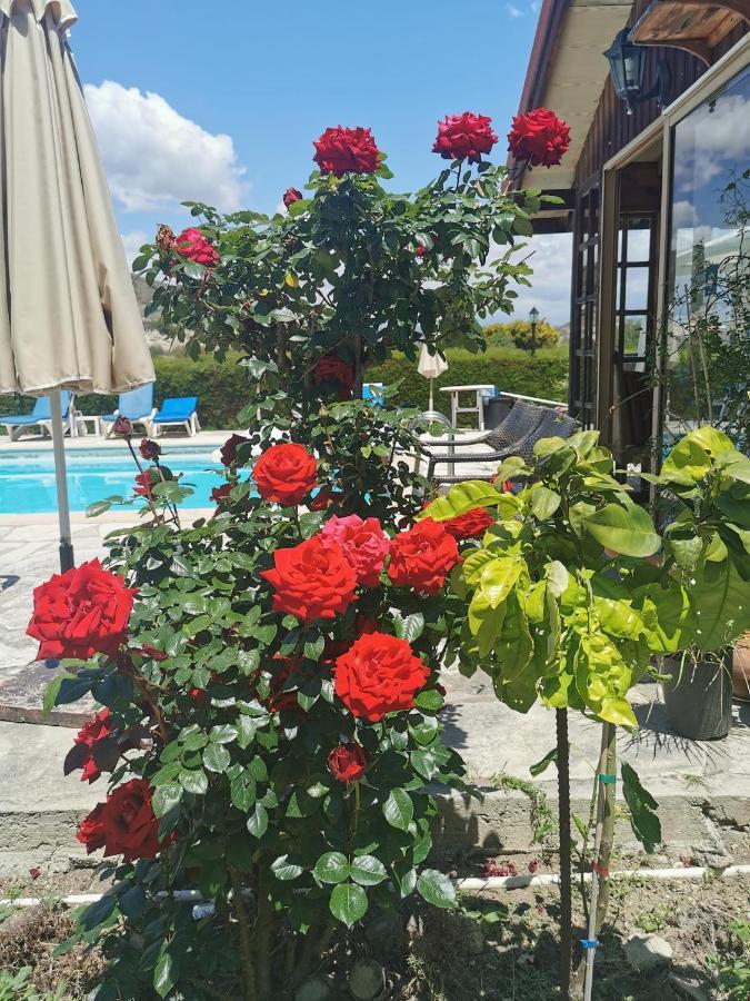 Ampelokipi Holiday Apartments Pissouri Buitenkant foto