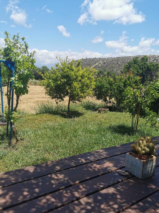 Ampelokipi Holiday Apartments Pissouri Buitenkant foto