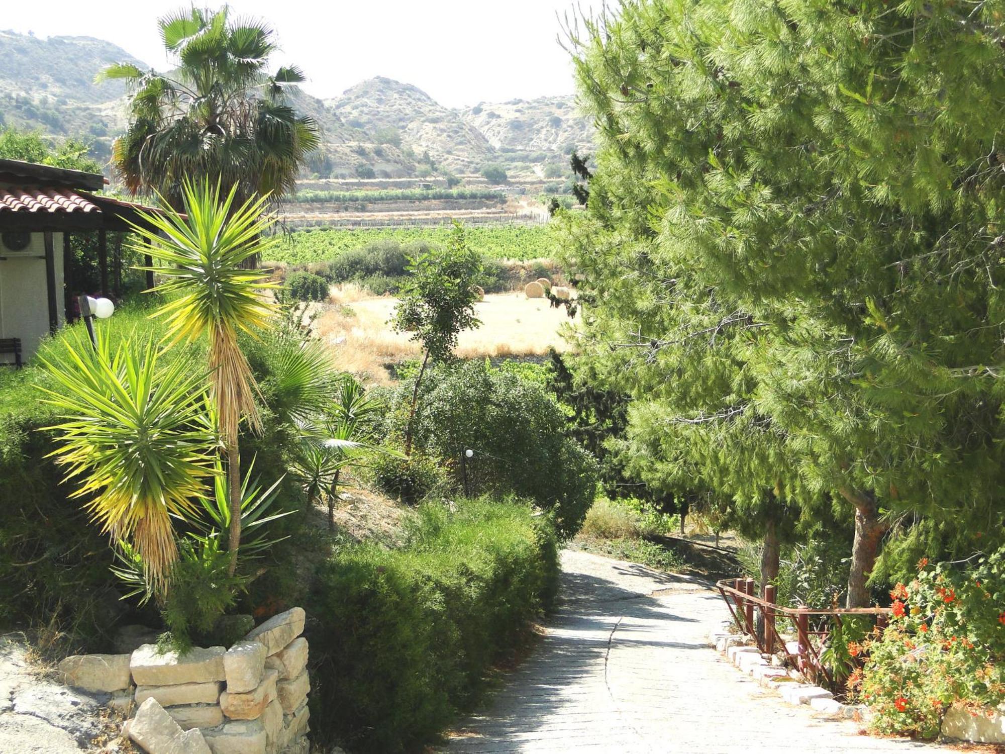 Ampelokipi Holiday Apartments Pissouri Buitenkant foto